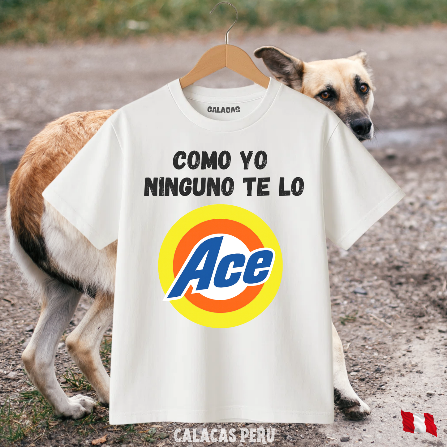 Polo - Como yo nadie te lo Ace