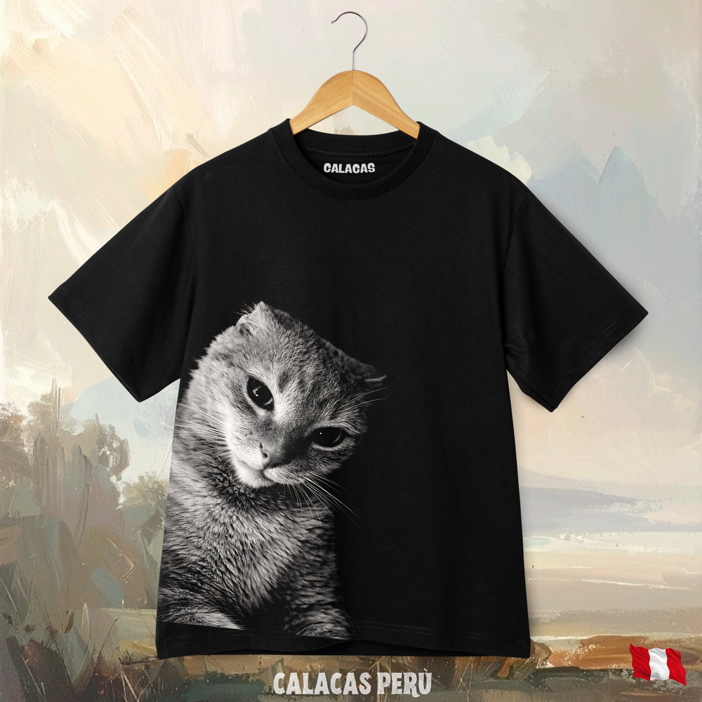 Polo - Gato molesto