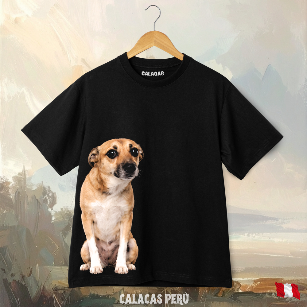 Polo - Perro timido