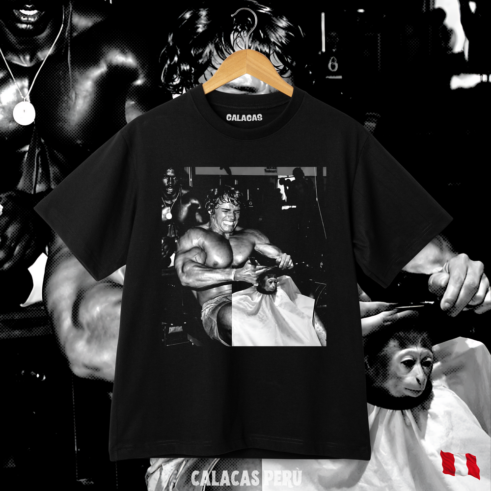 Polo - Arnold y mono