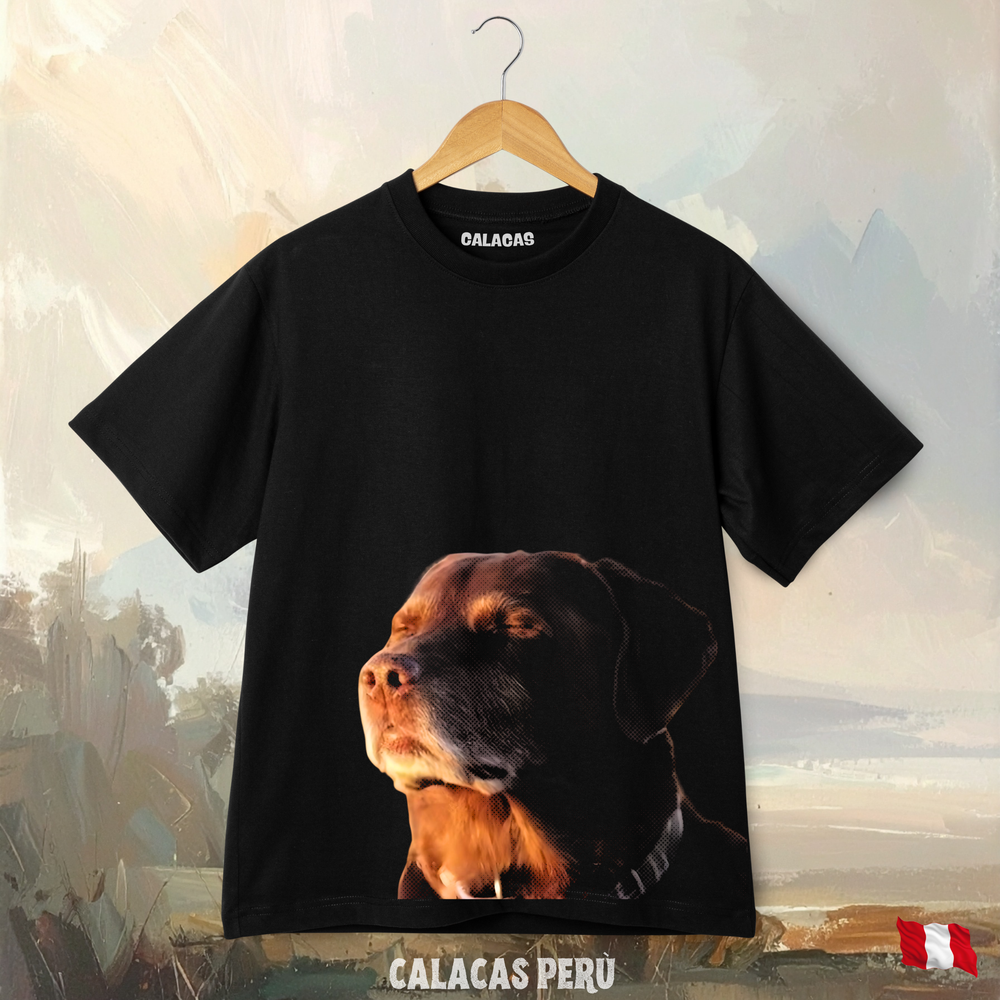 Polo - Perro chill
