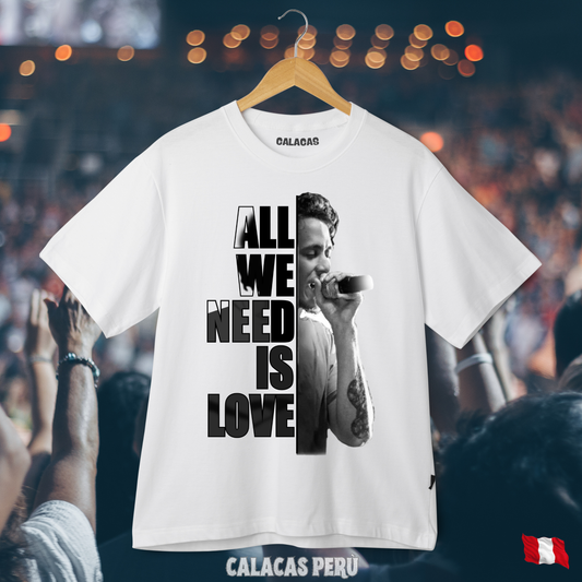 Polo - Allwe need is love