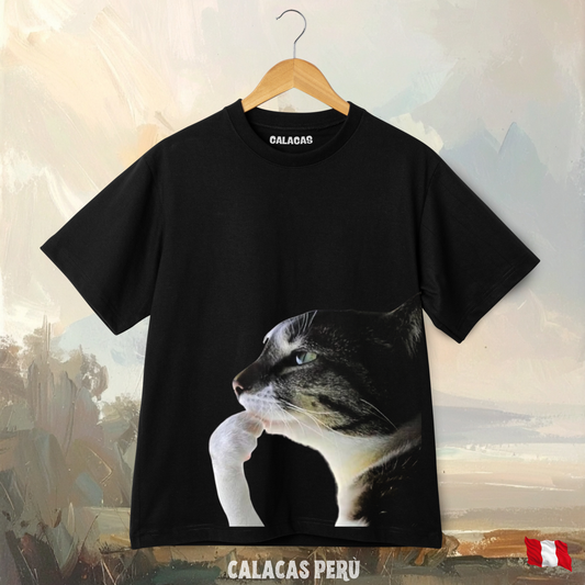 Polo - Gato pensando