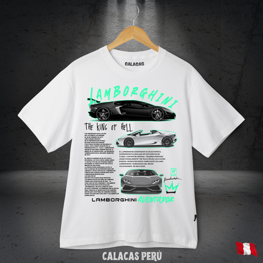 Polo - Lamborghini Aventador