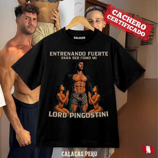 Polo - Lord Pingostini