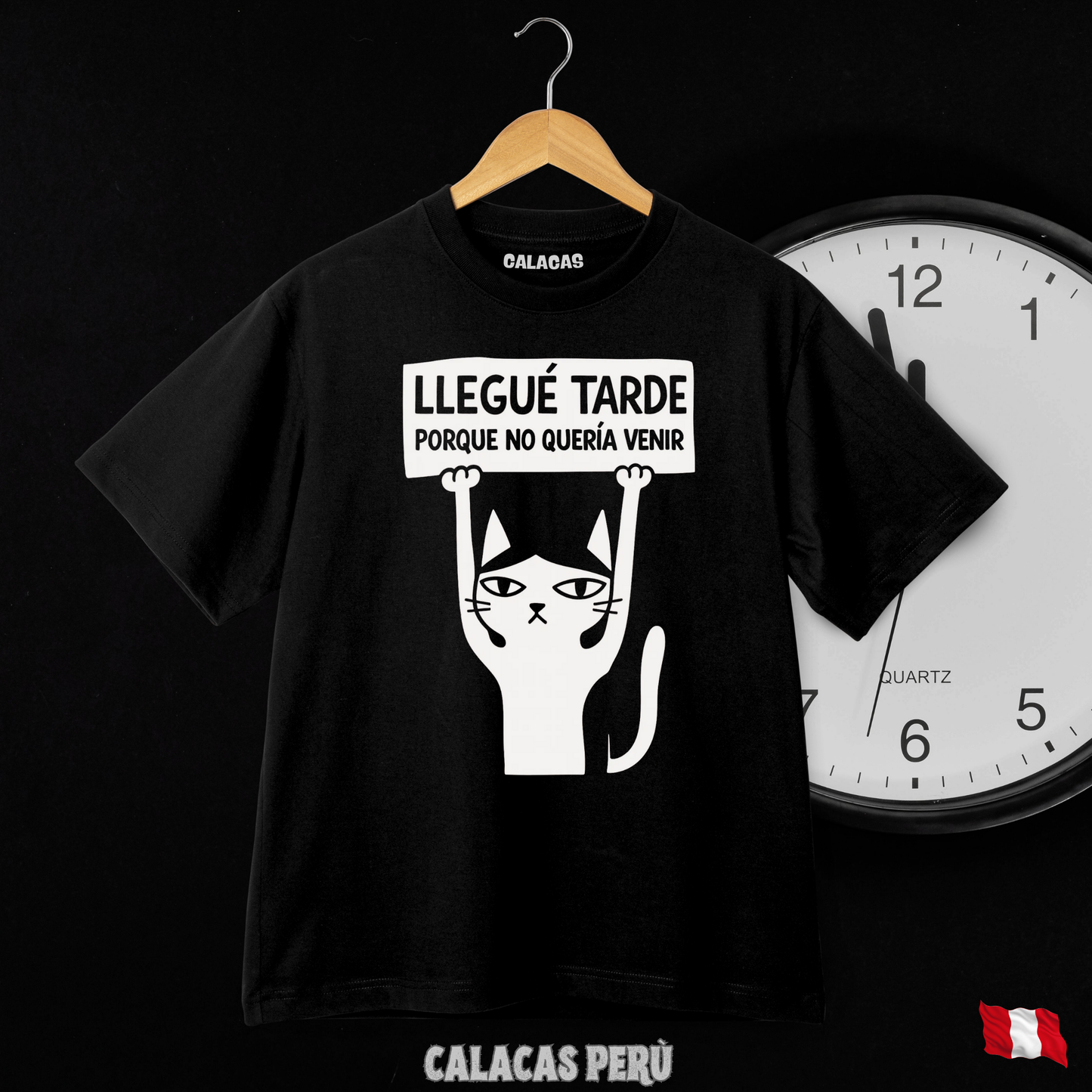 Polo - Llegué tarde porque no queria venir