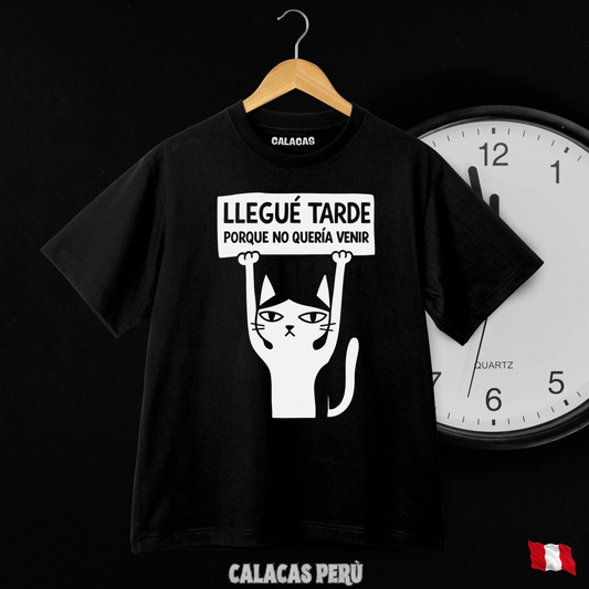 Polo - Llegué tarde porque no queria venir