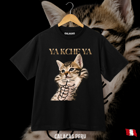 Polo Ya kche ya gato