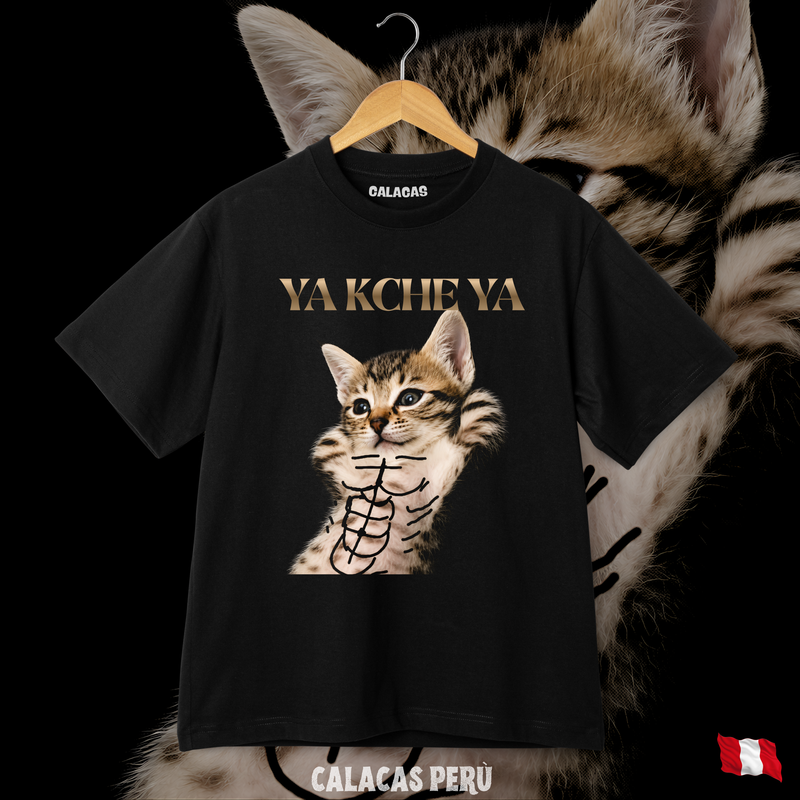 Polo - Ya kche ya gato